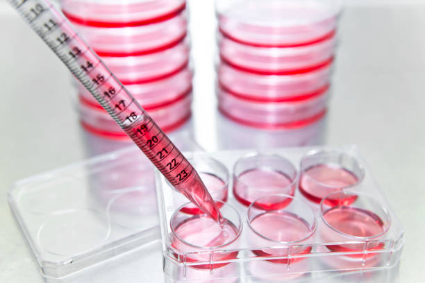 Pipette over culture plate